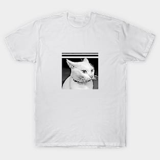 Cat's Redy to Fly Collection T-Shirt